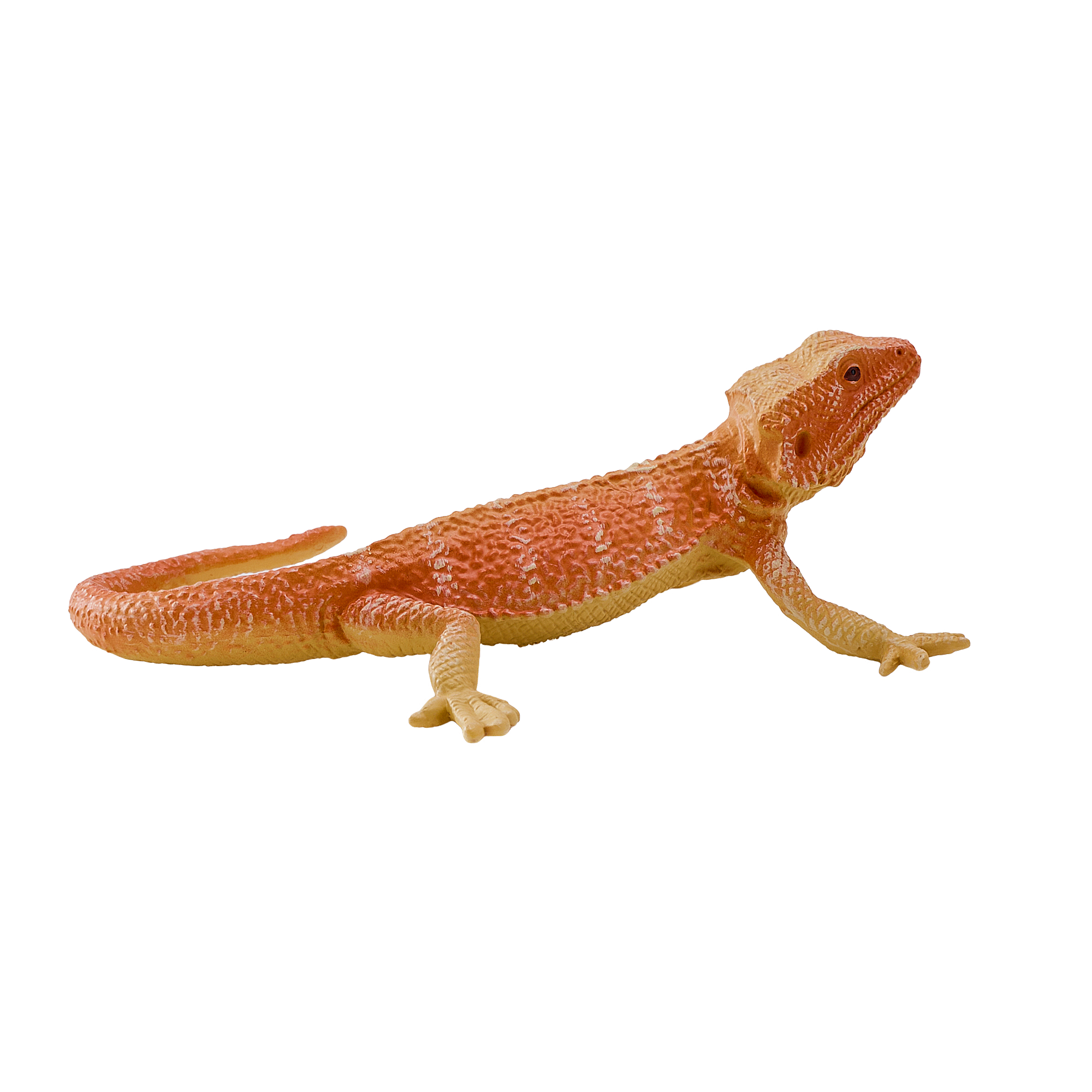 Parta-agamalelu - Figuuri