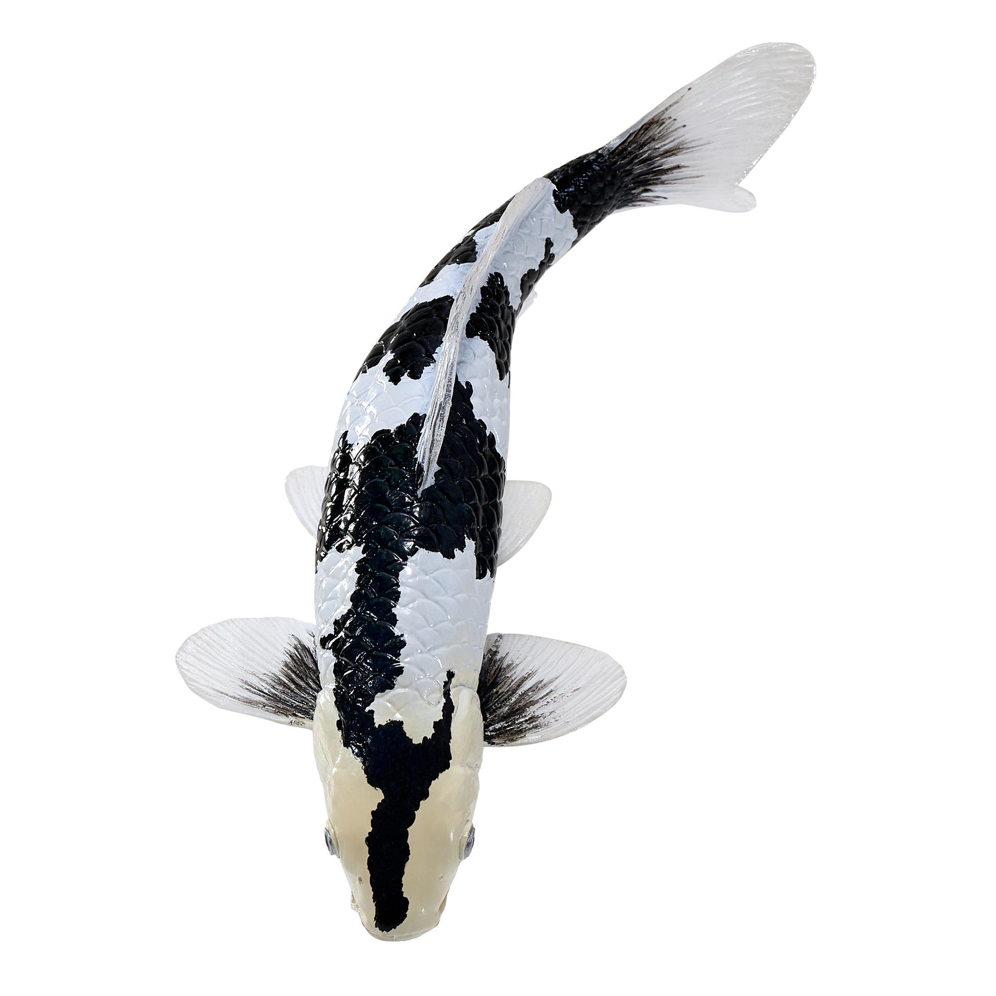 Koikarppilelu, Mustavalkoinen - Figuuri