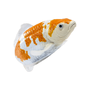 Koikarppilelu, Kultavalkoinen - Figuuri