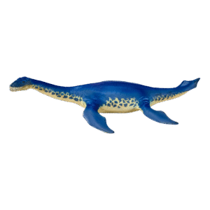 Cryptoclidus Lelu - Figuuri