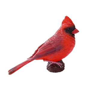 Punakardinaalilelu - Figuuri