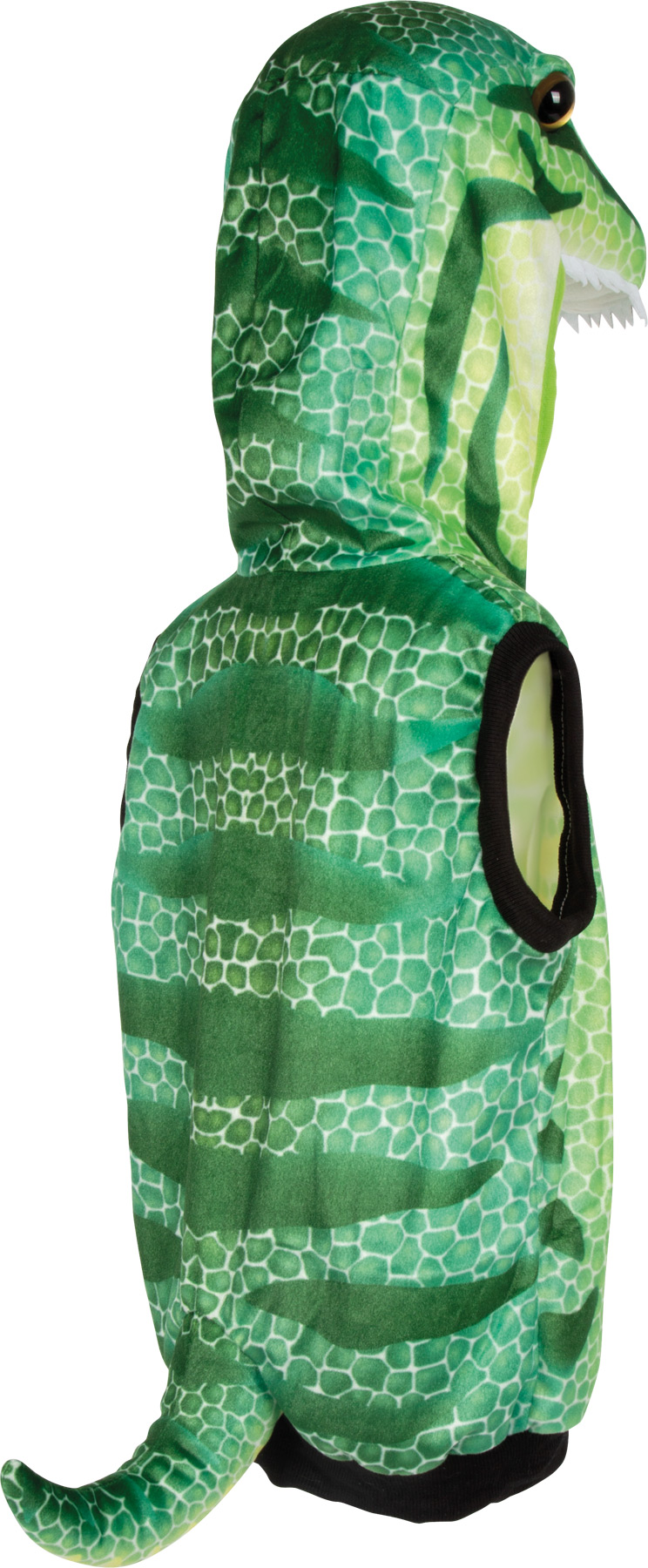 Small Foot Liiviasu: Dinosaurus - Image 5