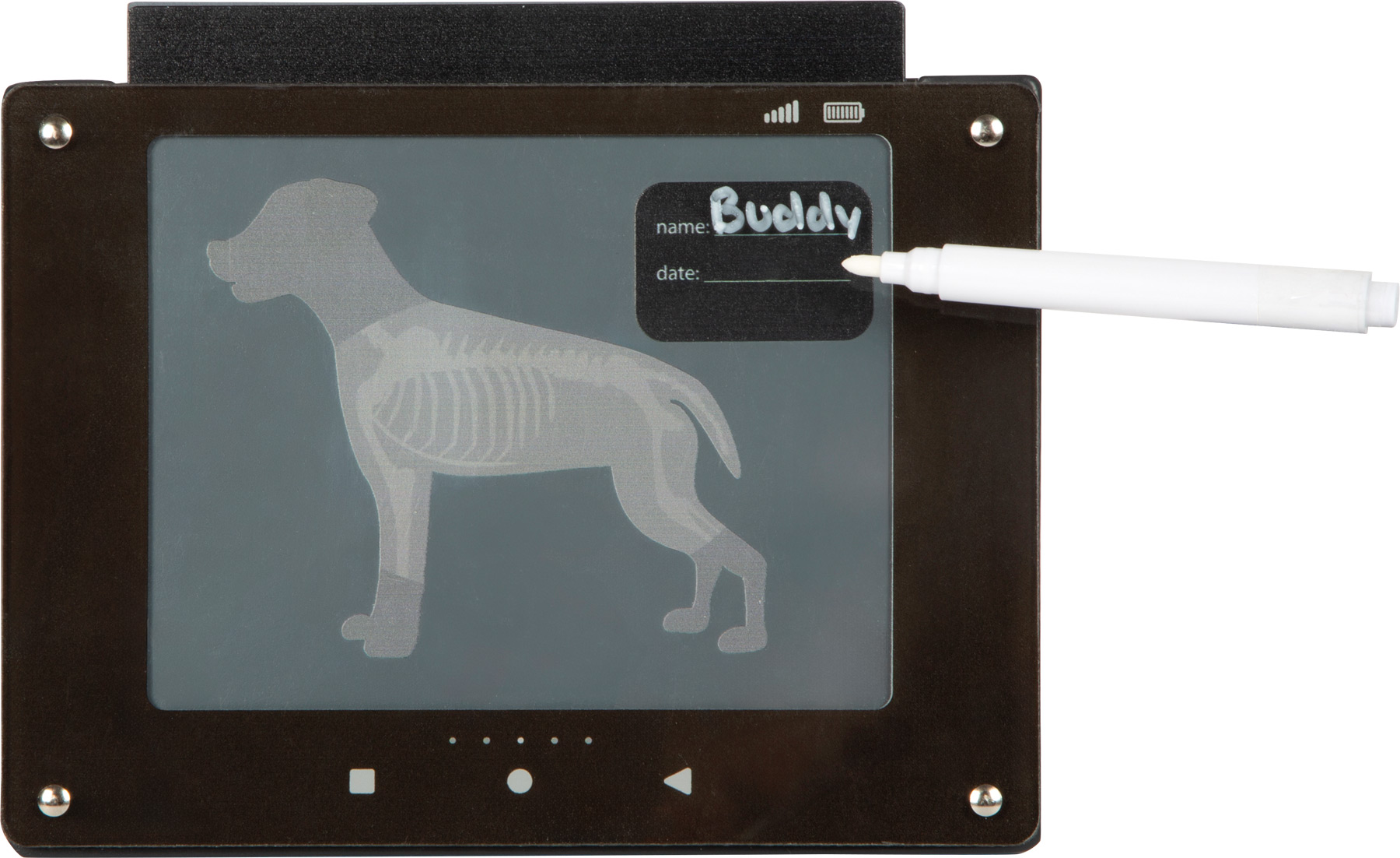 Small Foot Eläinlääkärilaukku ja Pehmopupu - Image 10